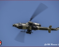 TSR Watermark - 0453